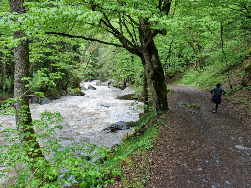 Borjomi Natural Resort Educational Track